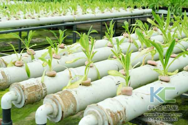 無(wú)土栽培技術(shù)，蔬菜大棚建設(shè)，溫室大棚，無(wú)土栽培