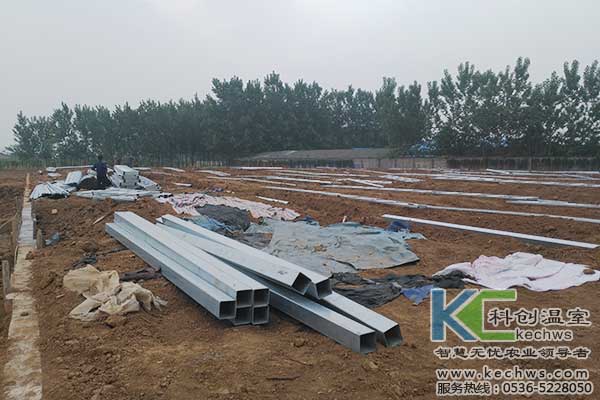 無(wú)土栽培，無(wú)土栽培技術(shù)，無(wú)土栽培設(shè)備
