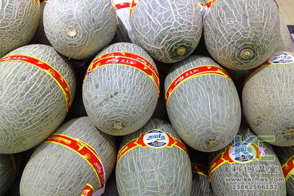 無土栽培，無土栽培技術(shù)，無土栽培設(shè)備