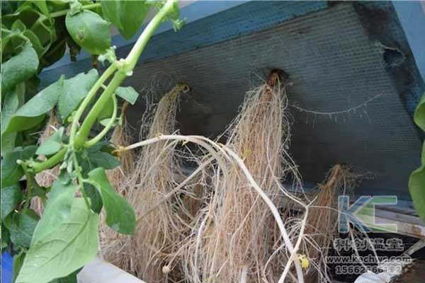 無(wú)土栽培，無(wú)土栽培技術(shù)，無(wú)土栽培設(shè)備