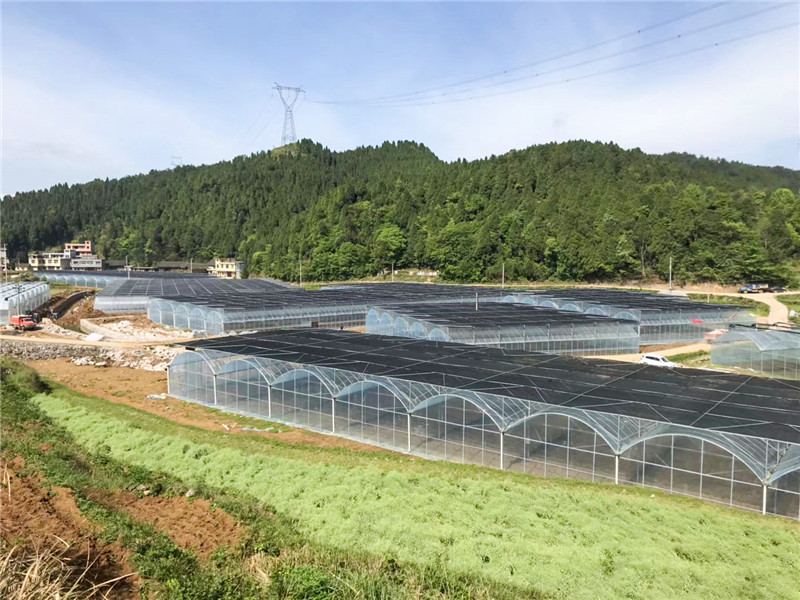 無土栽培，無土栽培技術(shù)，無土栽培設(shè)備