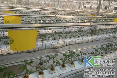 無土栽培，無土栽培技術，無土栽培設備