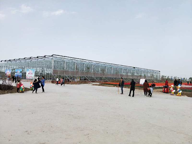 無土栽培，無土栽培技術(shù)，無土栽培設備