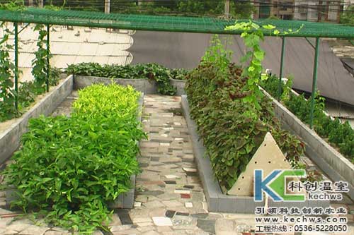 無土栽培，無土栽培技術(shù)，無土栽培設(shè)備