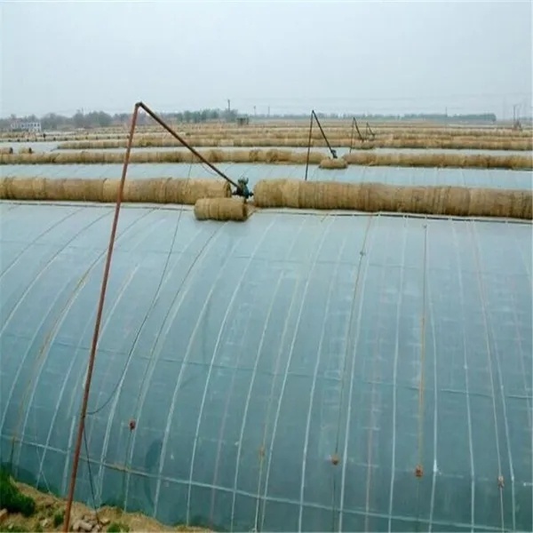 無(wú)土栽培，無(wú)土栽培技術(shù)，無(wú)土栽培設(shè)備