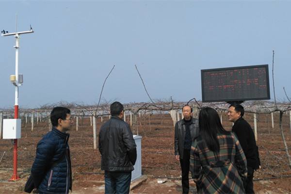 無土栽培，無土栽培技術，無土栽培設備