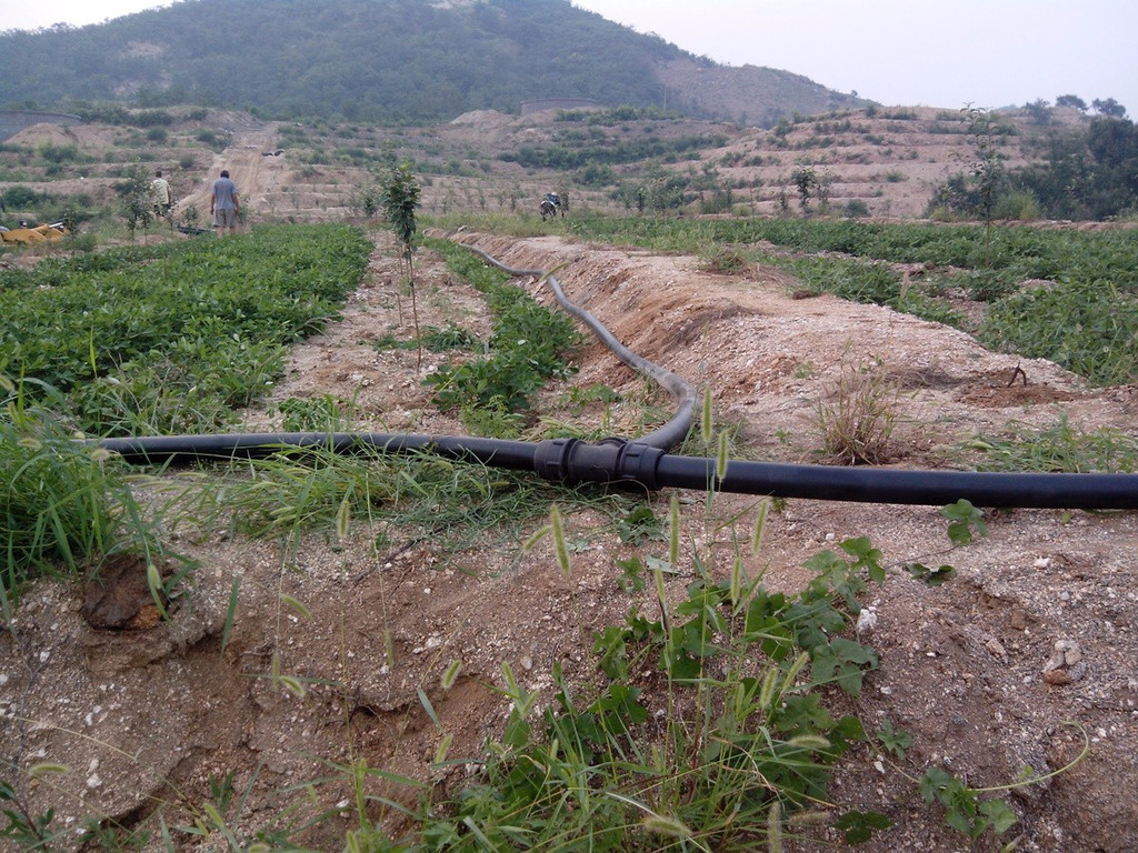 無土栽培，無土栽培技術，無土栽培設備